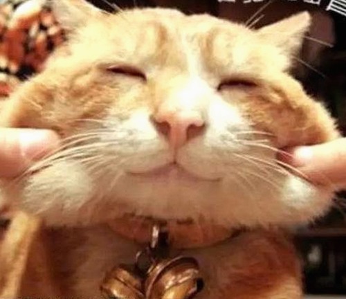 国产三级电影引领多元影视新潮流