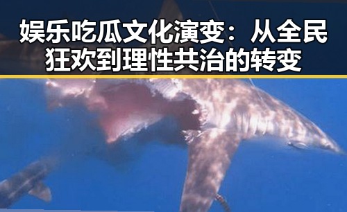 娱乐吃瓜文化演变：从全民狂欢到理性共治的转变