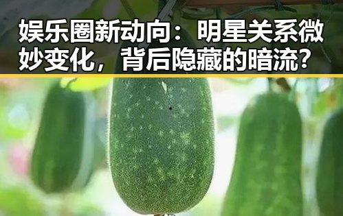 娱乐圈新动向:明星关系微妙变化,背后隐藏的暗流?