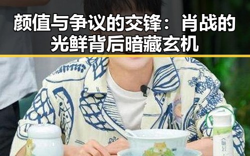 颜值与争议的交锋：肖战的光鲜背后暗藏玄机