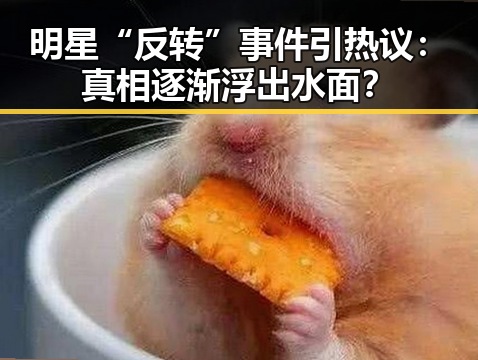 明星“反转”事件引热议：真相逐渐浮出水面？