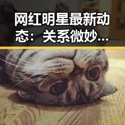 网红明星最新动态:关系微妙变化引发关注,粉丝陷入猜测漩涡🎭